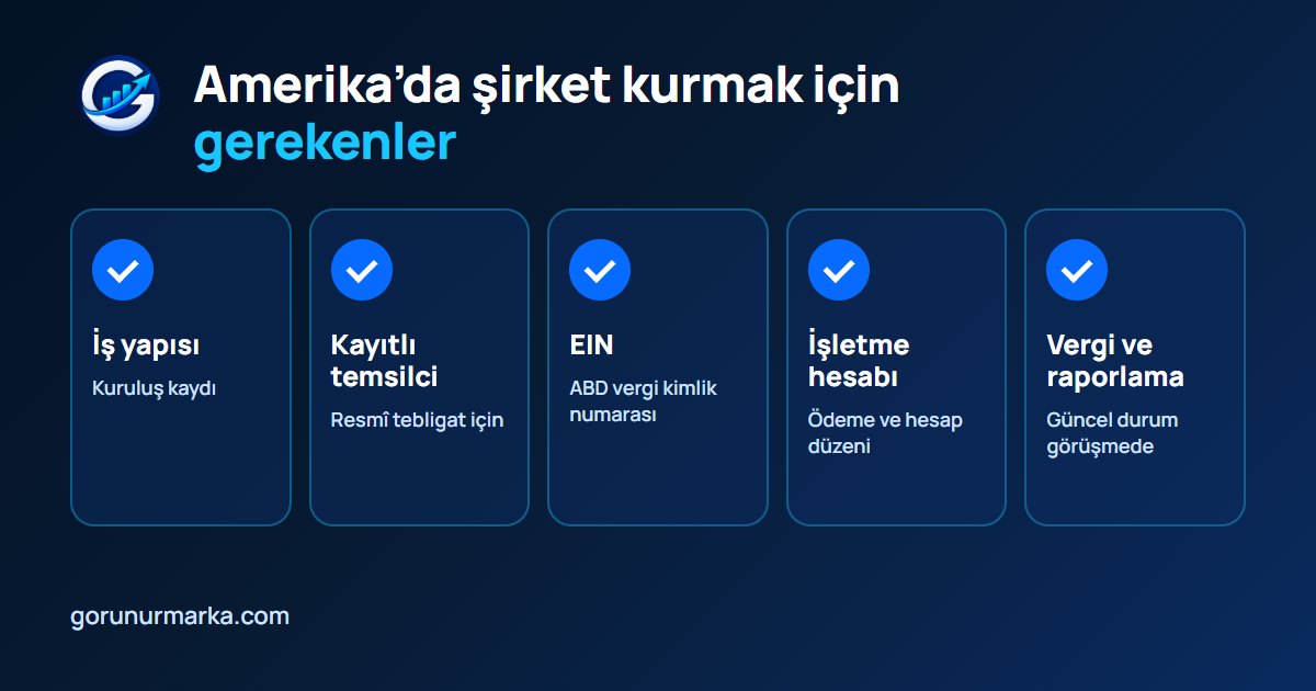 Amerika’da şirket kurmak için gerekenler: iş yapısı, kayıtlı temsilci, EIN, işletme hesabı, vergi ve raporlama